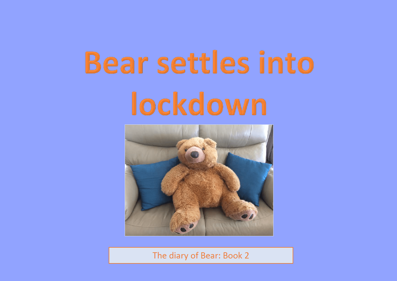 Bear settles into lockdown book cover