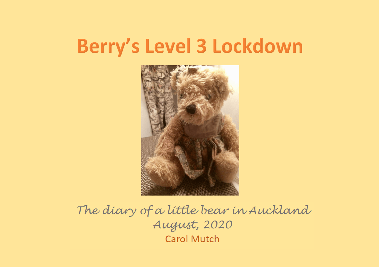 Berry's Level 3 Lockdown Book 1 cover