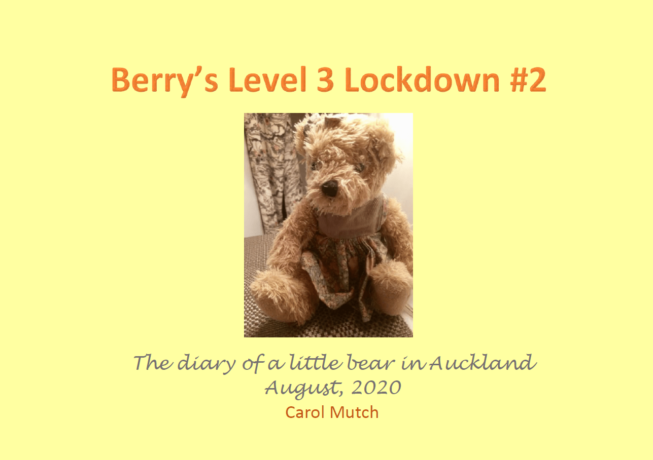 Berry's Level 3 Lockdown Book 2 cover page