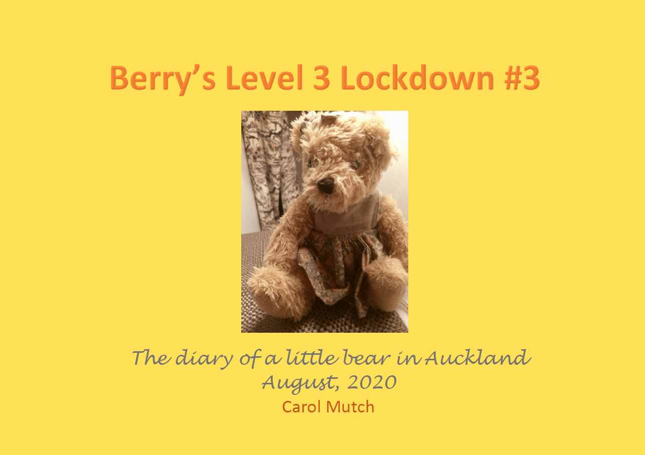 Berry's Level 3 Lockdown Book 3 cover page