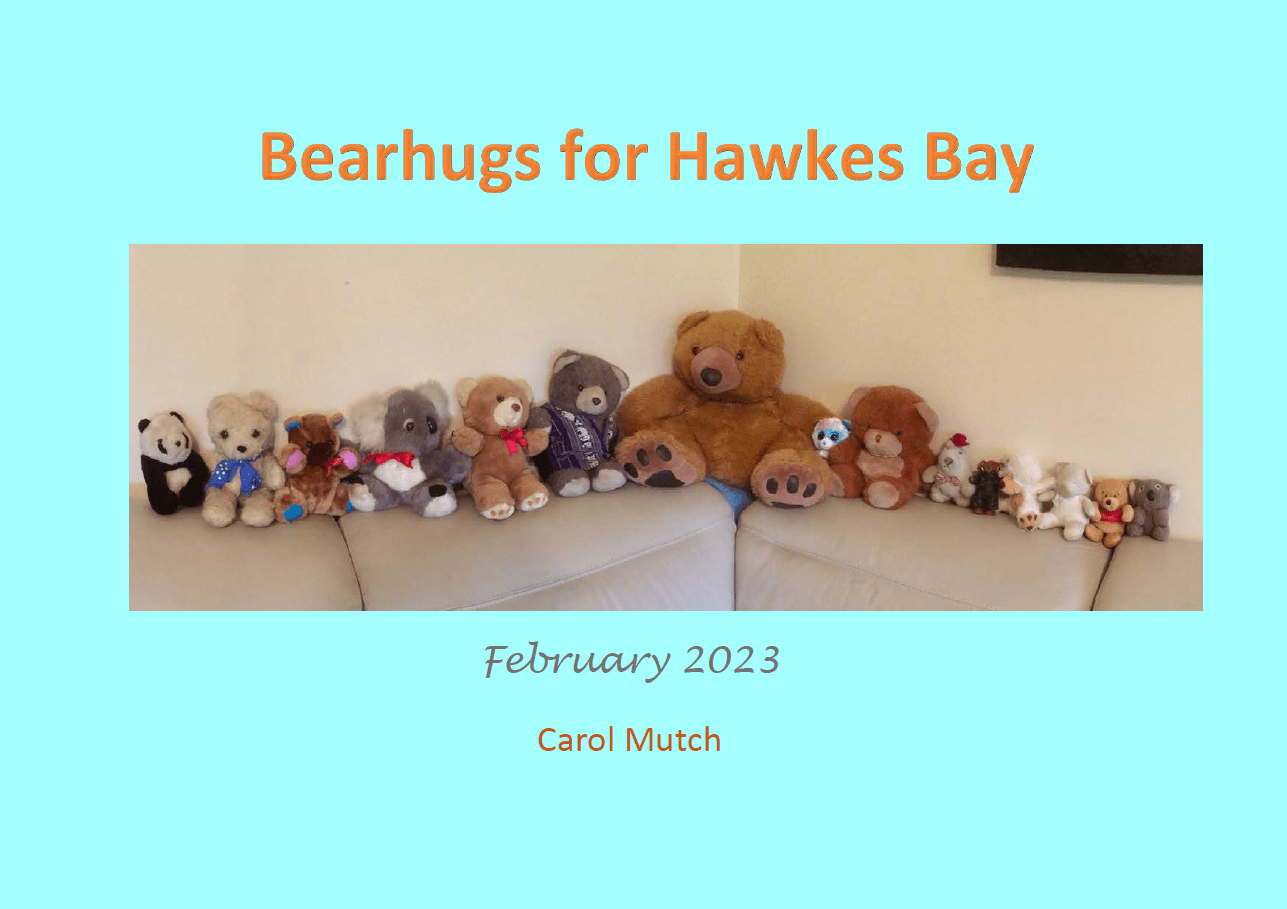 Bearhugs for Hawkes Bay cover page